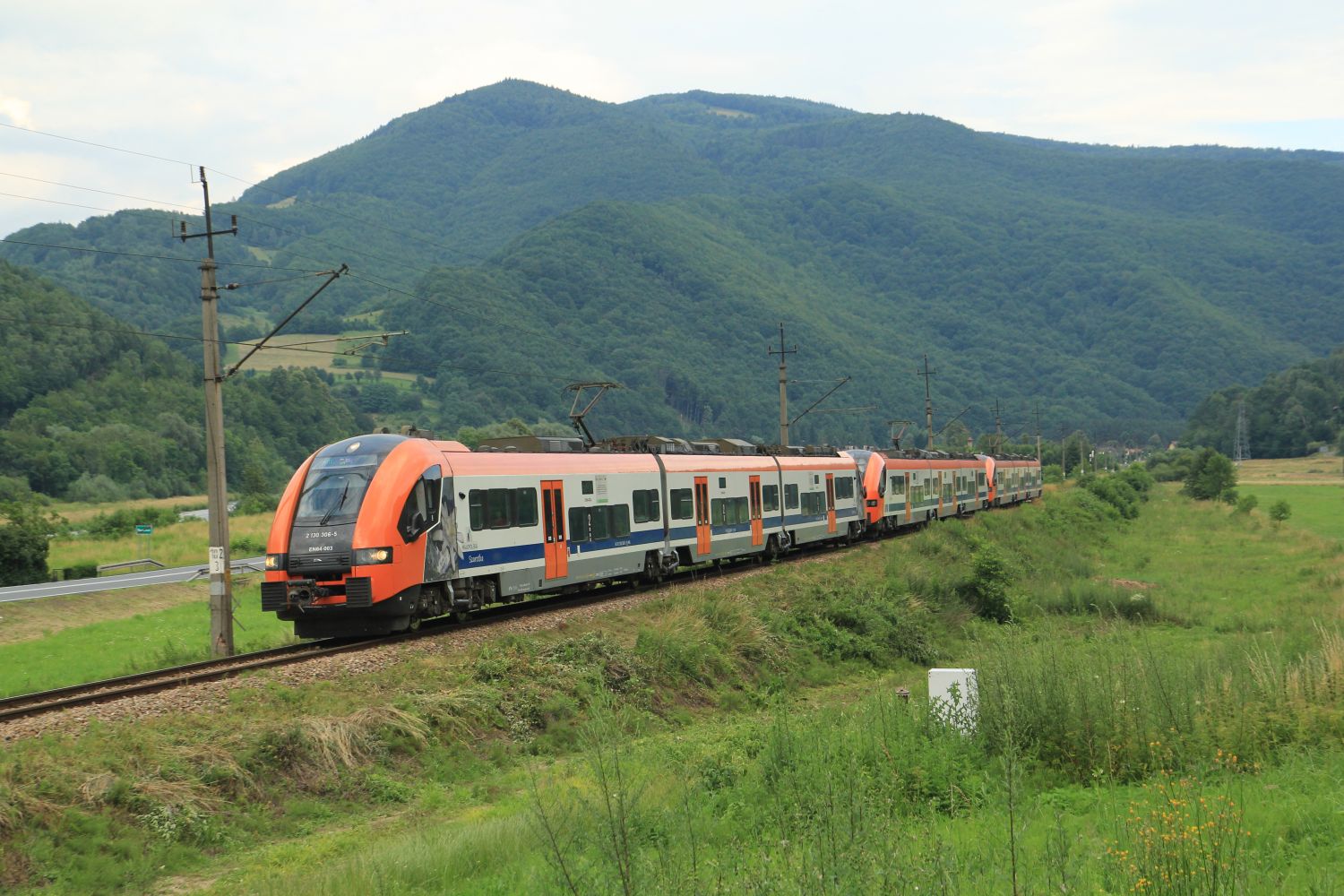 Zdjęcie przedstawia pociąg serii EN64 w czasie przejazdu