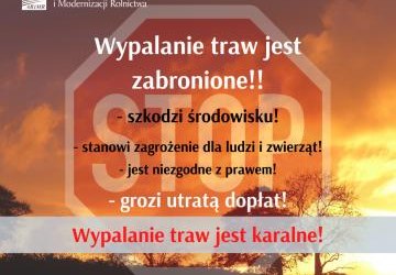 ARiMR przypomina: wypalanie traw jest karalne