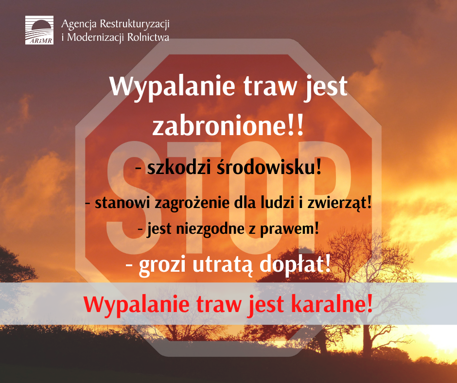 ARiMR przypomina: wypalanie traw jest karalne